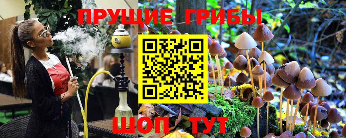 Реутов  Псилоцибиновые грибы Psilocybe  Вход с VPN 